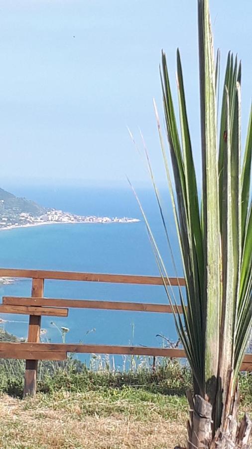 Tenuta Belvedere Cilento Montecorice Luaran gambar