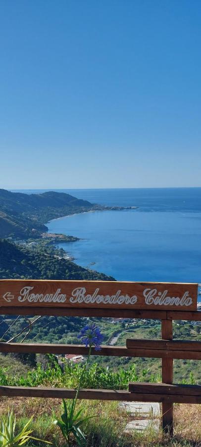 Tenuta Belvedere Cilento Montecorice Luaran gambar