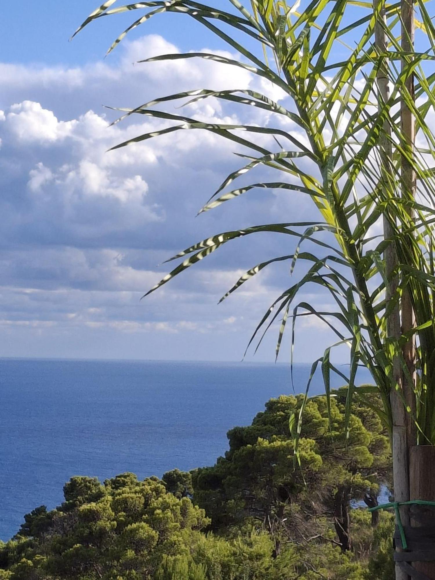 Tenuta Belvedere Cilento Montecorice Luaran gambar